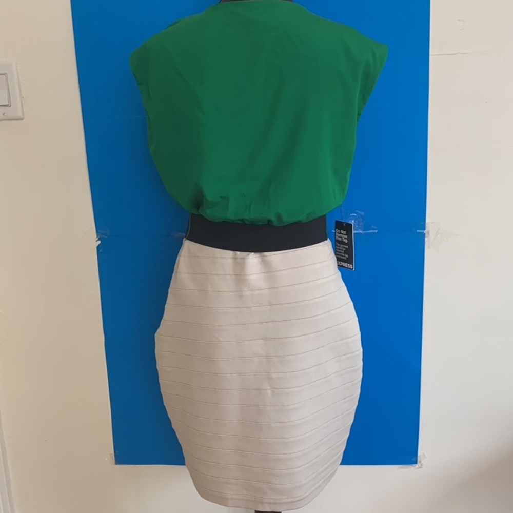 COPY - EXPRESS NEW Fitted Dress - Picture 7 of 14